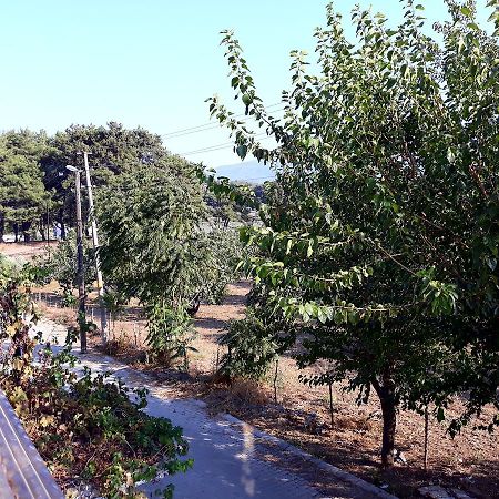 Can Efes Hotel Selçuk Exterior photo